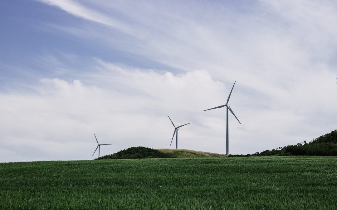 Wind turbines in open fields of pasture.