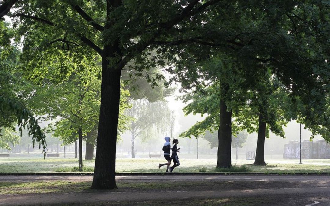 2 people jogging in a tree lined park area