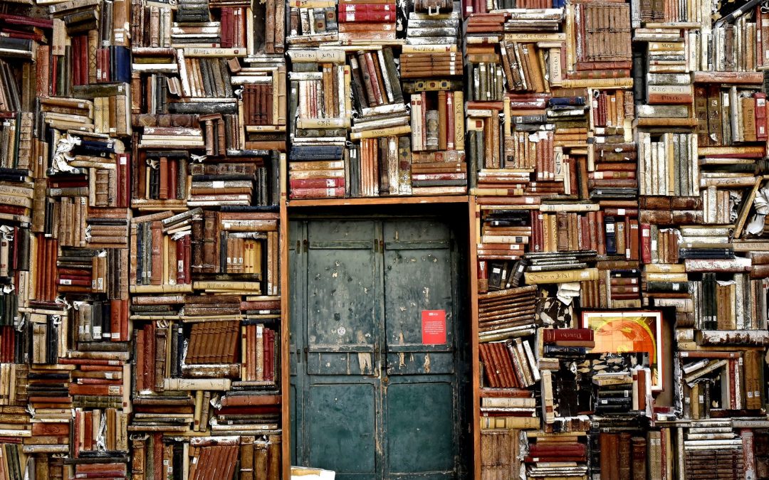 Wall-of-books-with-double-door-in-the-middle